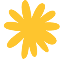 yellow arnica flower