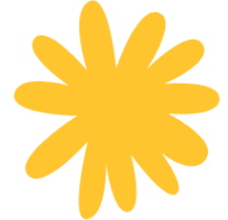 ArnicaFlowerYellow2 yellow arnica flower