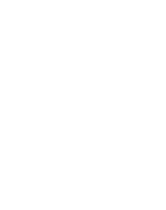 arnica foundation logo white
